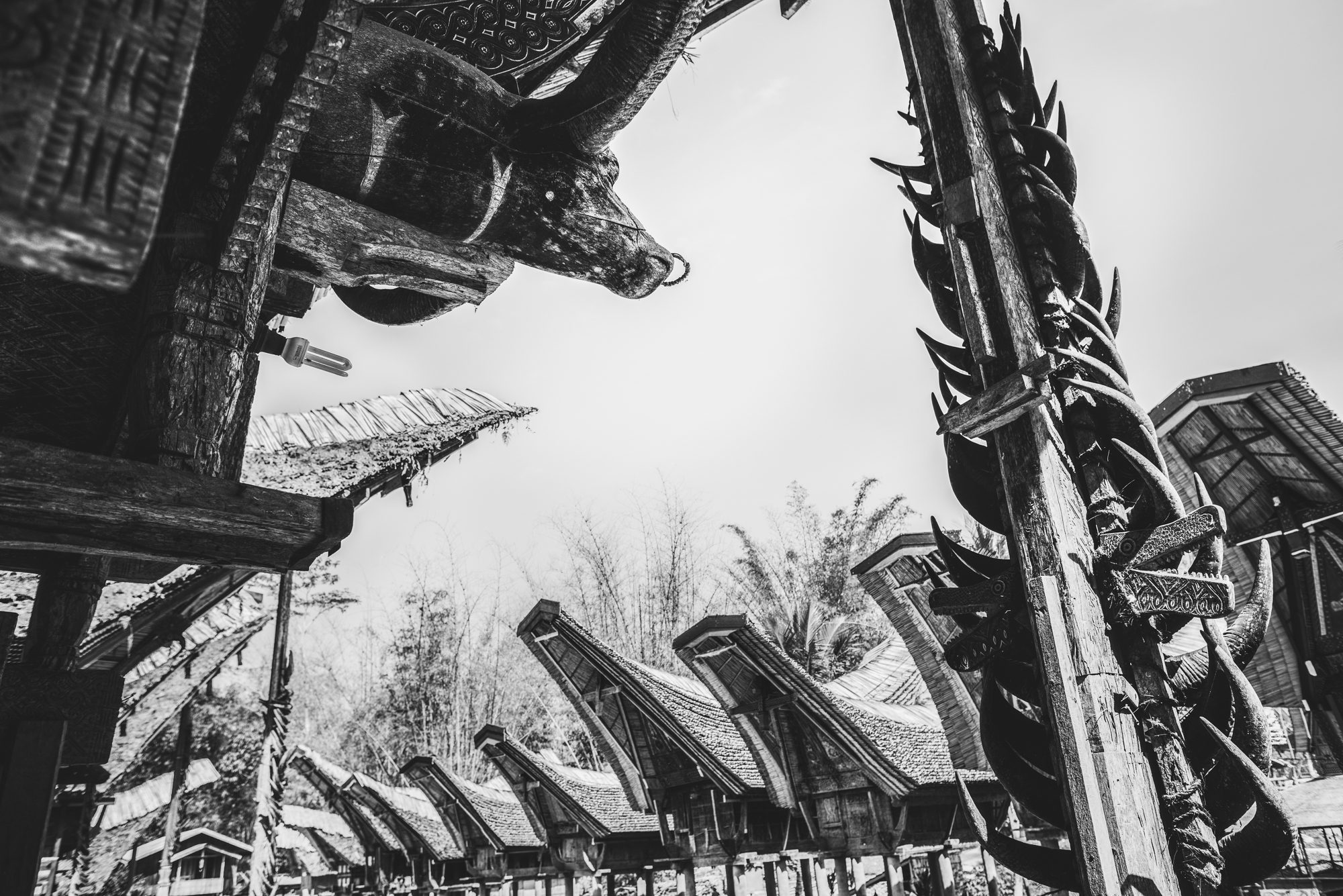 _SKR0845-E-E-E-E-E-E-2-E-E-E-E-Edit-Edit-Edit-E-E-E